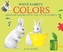 WHITE RABBITS COLORS