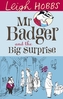 Mr Badger and the Big Surprise