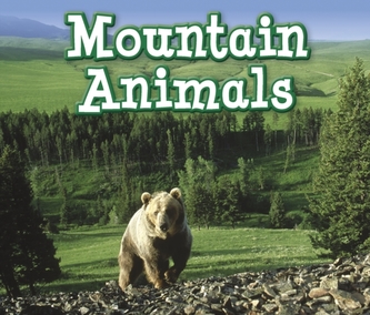 Mountain Animals