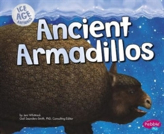 Ice Age Animals: Ancient Armadillos