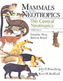 Mammals of the Neotropics