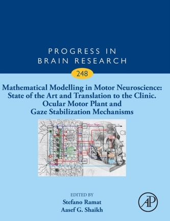 Mathematical Modelling in Motor Neuroscience: State of the Art and Translation to the Clinic. Ocular Motor Plant and Gaz
