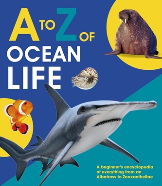 A to Z of Ocean Life