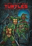 Teenage Mutant Ninja Turtles The Ultimate Collection, Vol. 4