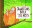Orangutans Build Tree Nests