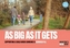 As Big As It Gets (2nd edition)