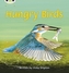 Bug Club Phonics Non Fiction Year 1 Phase 5 Set 23 Hungry Birds