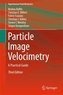 Particle Image Velocimetry