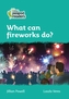 Level 3 - What can fireworks do?