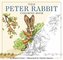 The Peter Rabbit Coloring Book