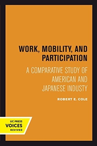 Work, Mobility, and Participation