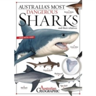 Australia's Most Dangerous Sharks