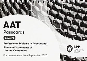 AAT Financial Statements of Limited Companies