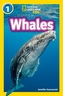 Whales