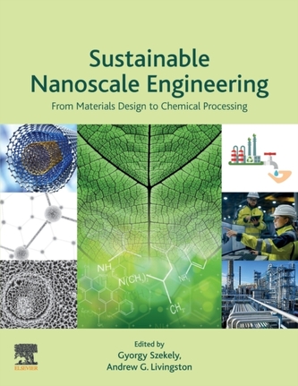 Sustainable Nanoscale Engineering