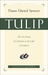 Tulip