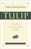Tulip