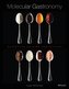Molecular Gastronomy