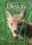 Secret Nature of Devon