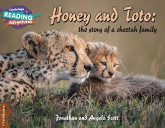 Honey and Toto: The Story of a Cheetah Family 1 Pathfinders