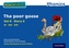 Read Write Inc. Phonics: Blue Set 6 Storybook 2 The Poor Goose