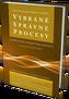 Vybrané správne procesy (teoretické a praktické aspekty)
