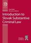 Introduction to the Substantial Criminal Law