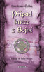 Případ kněze z Bojné - Zločiny na Velké Moravě