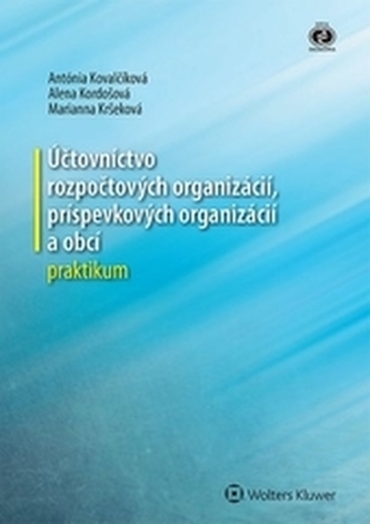 Účtovníctvo rozpočtových organizácií, príspevkových organizácií a obcí - praktikum