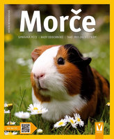 Morče - Jak na to