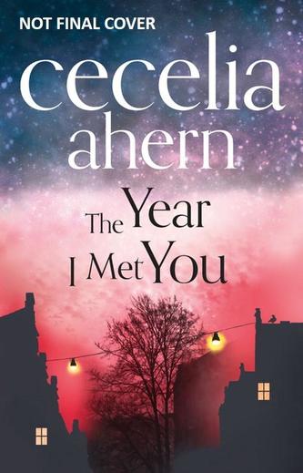 The Year I Met You