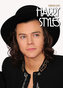 Kalendář nástěnný 2016 - HARRY STYLES