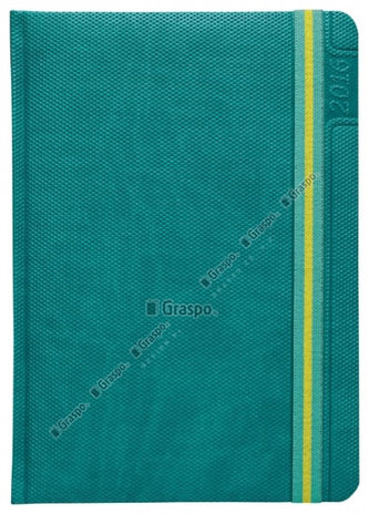 Diář 2016 - Janus tyrkysový denní A5