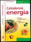 Celodenná energia
