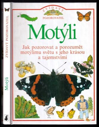 Motýli