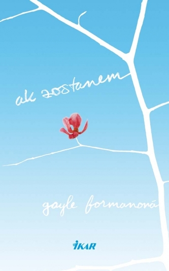 Ak zostanem