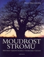 Moudrost stromů - historie - lidová tradice - symbolika - léčení