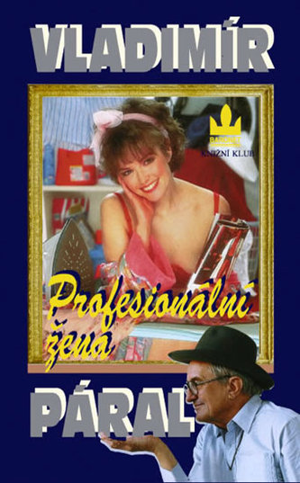 Profesionální žena