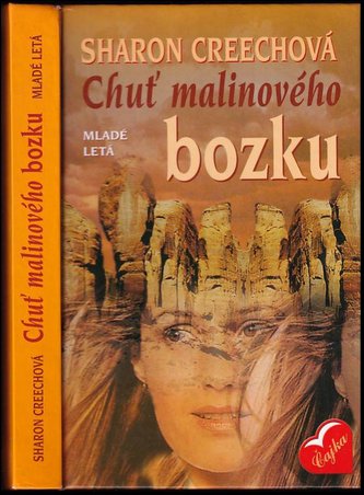 Chuť malinového bozku