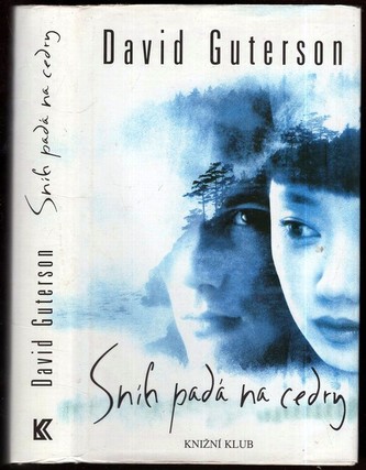 Sníh padá na cedry