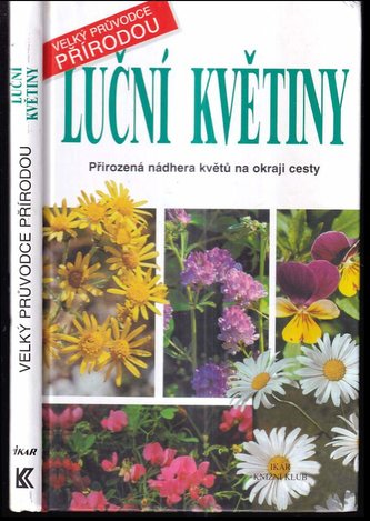 Luční květiny