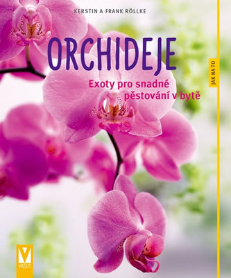 Orchideje - Exoty pro snadné pěstování v bytě