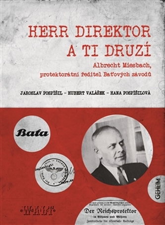Herr Direktor