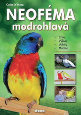 Neoféma modrohlavá - chovatelská příručka
