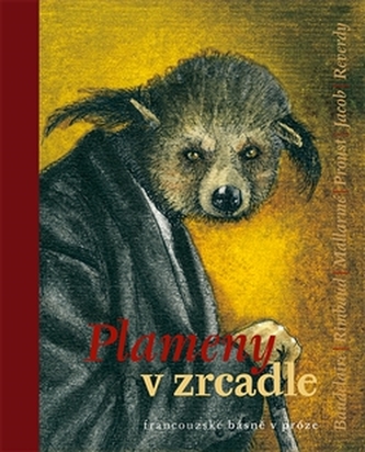 Plameny v zrcadle Plameny v zrcadle