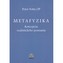 Metafyzika