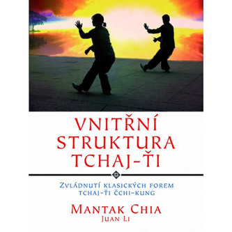 Vnitřní struktura Tchaj-Ťi Vnitřní struktura Tchaj-Ťi