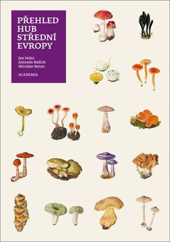 Přehled hub střední Evropy Přehled hub střední Evropy