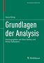 Grundlagen der Analysis