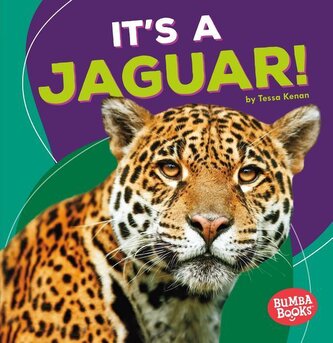 It's a Jaguar!
